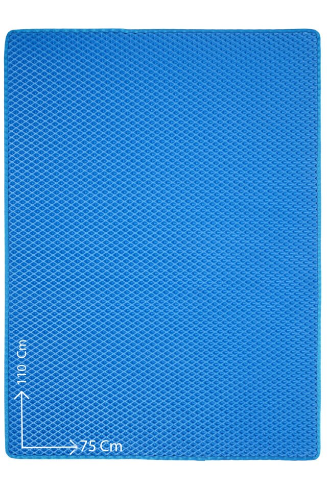 (75X110 CM) HÜCRELİ KEDİ KUMU PASPASI KEDİ MATI KEDİ TUVALET ÖNÜ PASPASI Mavi