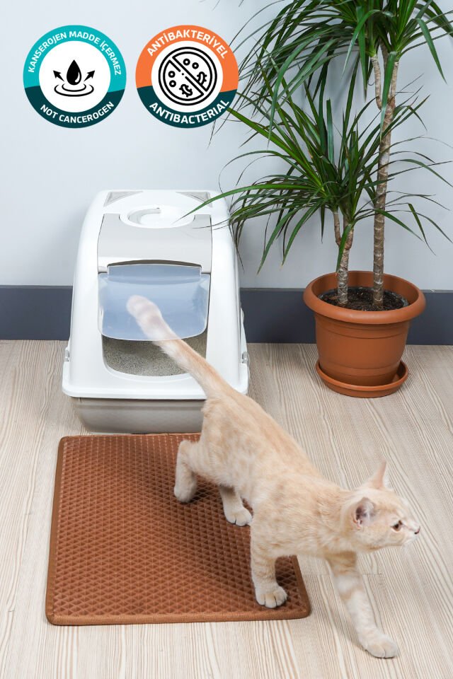 (40X55 CM) HÜCRELİ KEDİ KUMU PASPASI KEDİ MATI KEDİ TUVALET ÖNÜ PASPASI Kahverengi