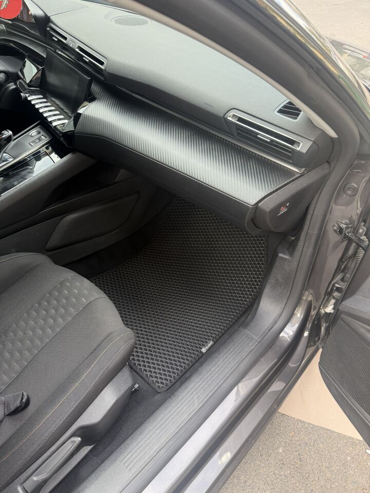 PEUGEOT 508 2019 SONRASI EVA OTO PASPAS