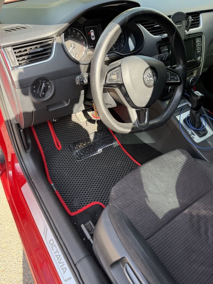 SKODA OCTAVİA 2013-2019 EVA OTO PASPAS