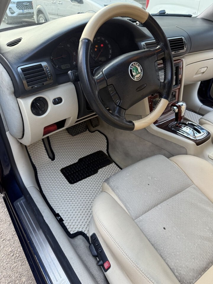 SKODA SÜPER B B5 2001-2008 EVA OTO PASPAS