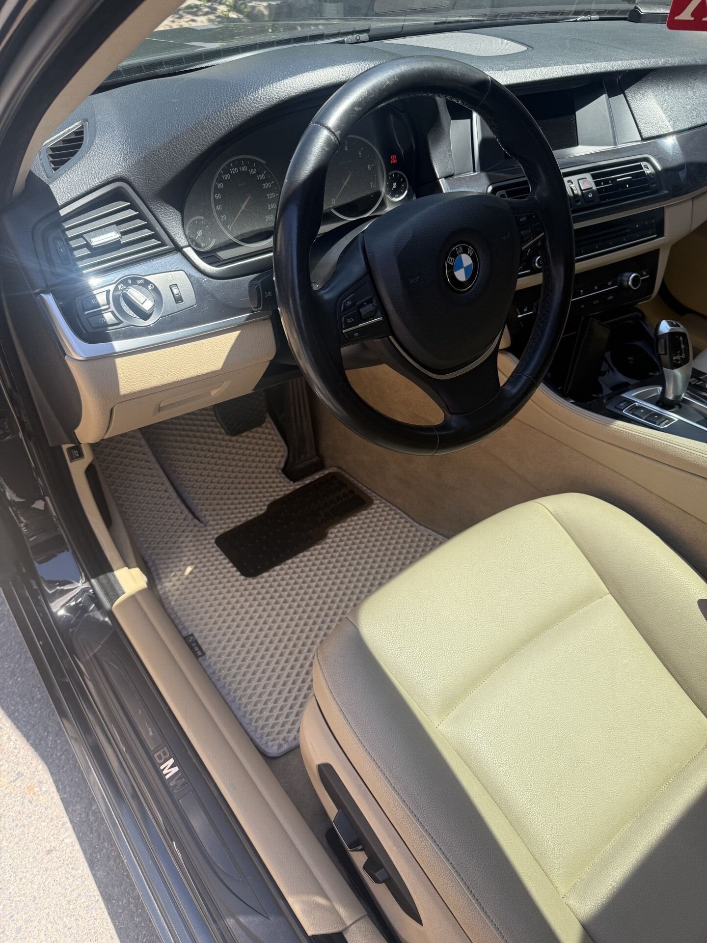 BMW 5 SERİSİ F10 2011-2016 EVA OTO PASPAS