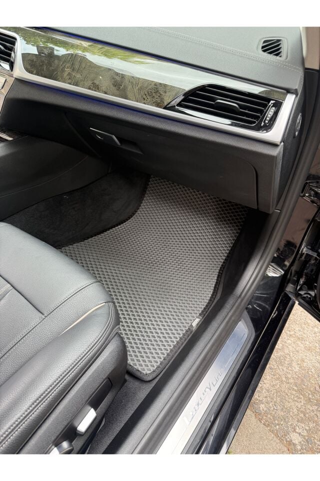 BMW 5 SERİSİ G30 2017-2023 EVA OTO PASPAS