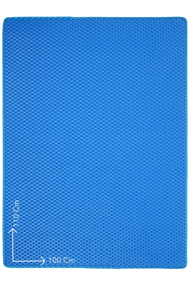 (100X110 CM) HÜCRELİ KEDİ KUMU PASPASI KEDİ MATI KEDİ TUVALET ÖNÜ PASPASI Mavi