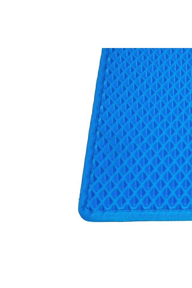 (100X110 CM) HÜCRELİ KEDİ KUMU PASPASI KEDİ MATI KEDİ TUVALET ÖNÜ PASPASI Mavi